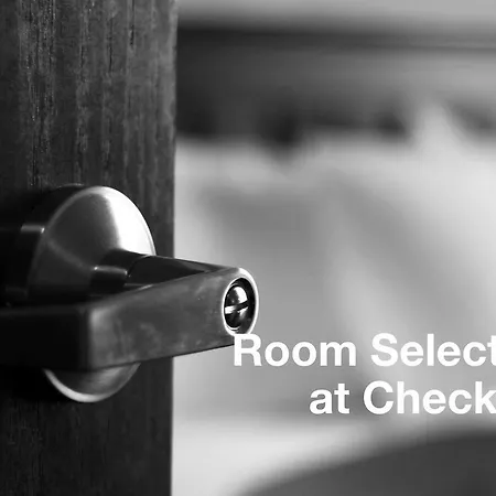 Ambassador מלון 4*